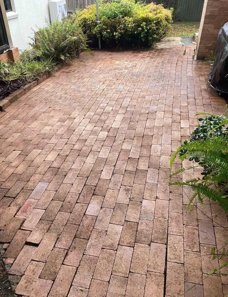 Custom yard maintenance in Phoenix, AZ - Maryvale Lawn Care