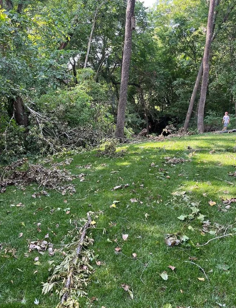 Top-rated landscape installation in Phoenix, AZ - Maryvale Lawn Care