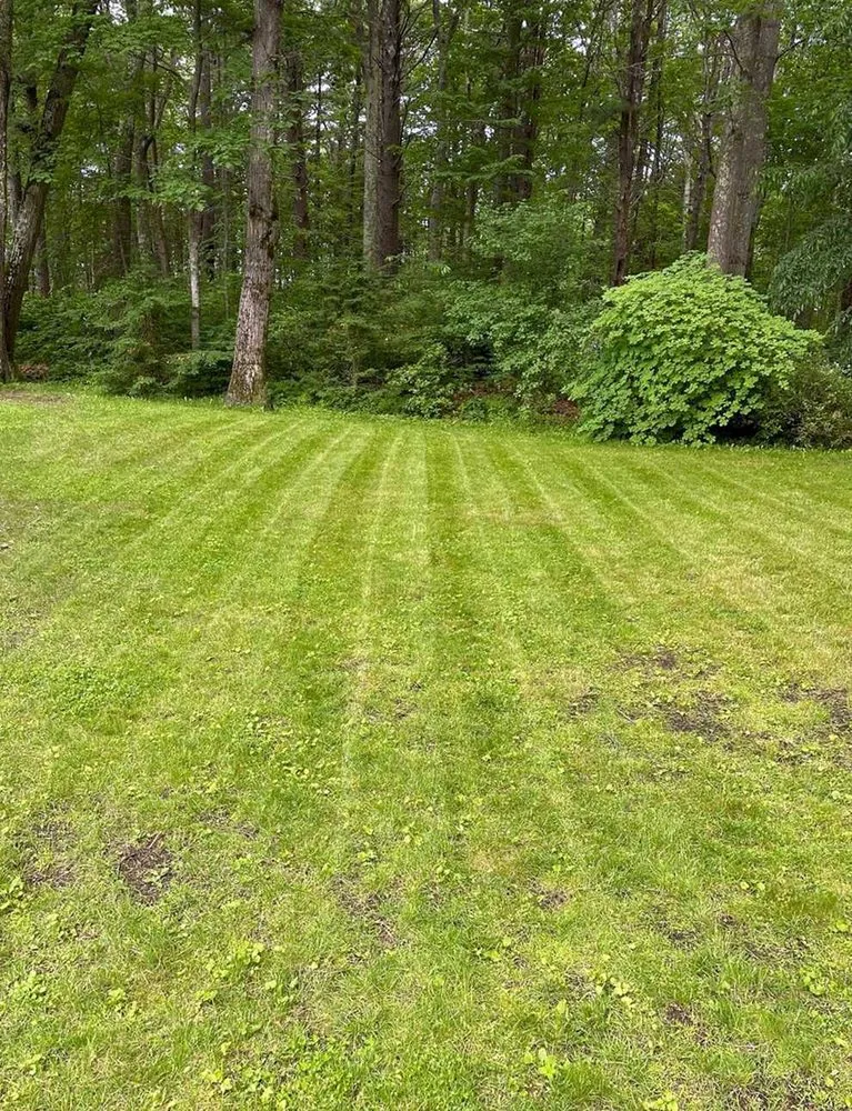 Professional landscaping services for residential properties across Phoenix, AZ - Maryvale Lawn Care