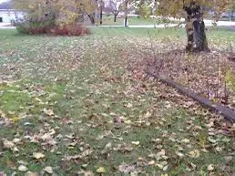 Affordable yard maintenance for homes across Shrewsbury, MA - MAS Landscaping