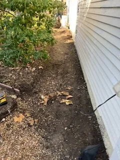 Professional yard maintenance for year-round maintenance across McKinney, TX - MAS LawnCare