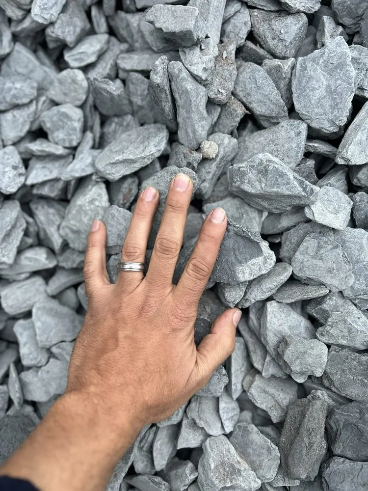 Custom yard cleanup service experts serving Lawrenceville, GA - Masa Dump Contracting