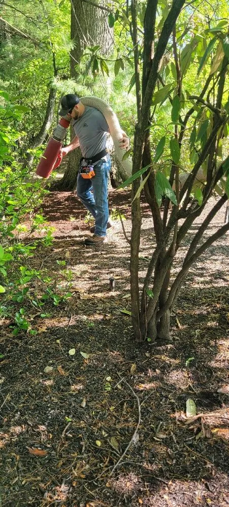 Professional landscaping services for year-round maintenance in Little Ferry, NJ by MASA Landscape and Construction