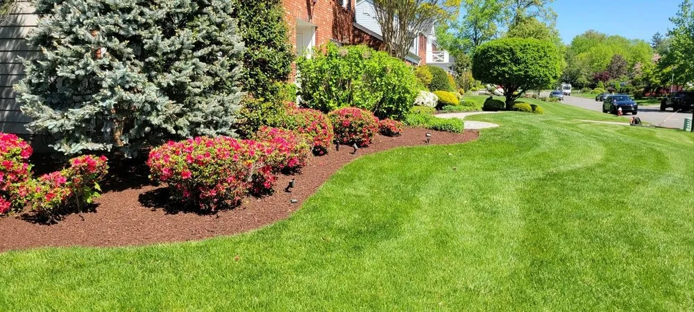 Reliable yard cleanup service for residential properties in Little Ferry, NJ by MASA Landscape and Construction