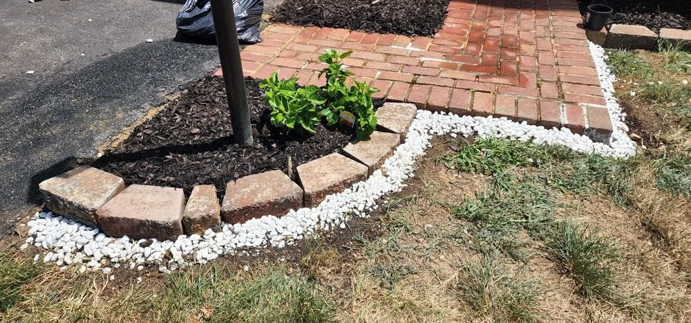 Expert yard cleanup service in Woodbridge, VA - Masada Landscaping