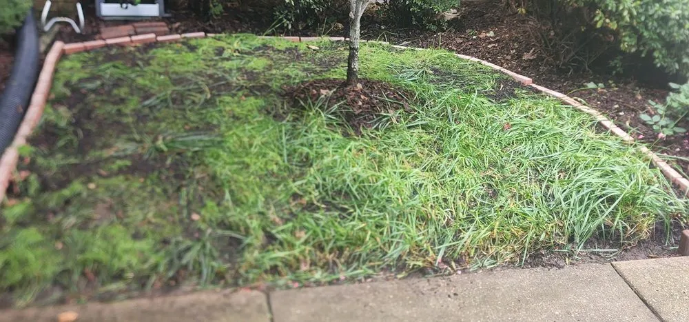 Trusted residential landscaping for residential properties in Woodbridge, VA by Masada Landscaping