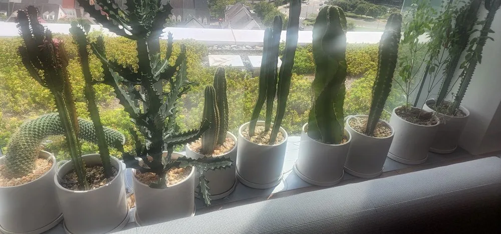 Custom landscape installation for year-round maintenance across Woodbridge, VA - Masada Landscaping