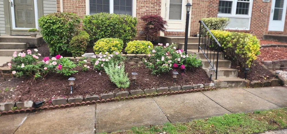 Professional yard cleanup service for outdoor upgrades across Woodbridge, VA - Masada Landscaping