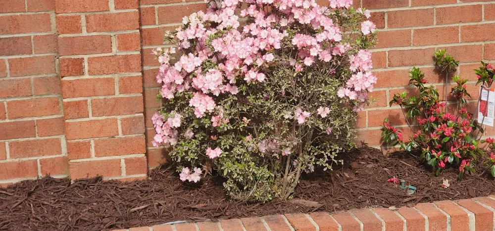 Custom garden landscaping for outdoor upgrades across Woodbridge, VA - Masada Landscaping