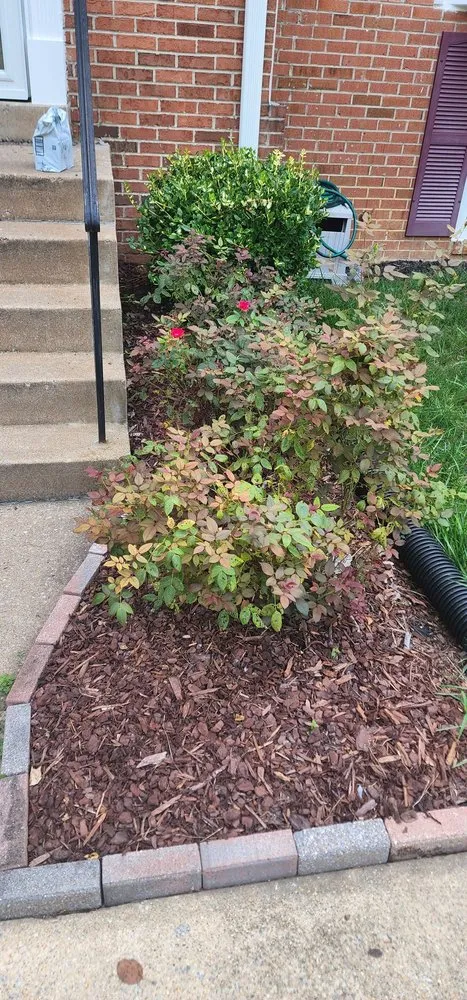 Expert garden landscaping experts serving Woodbridge, VA - Masada Landscaping