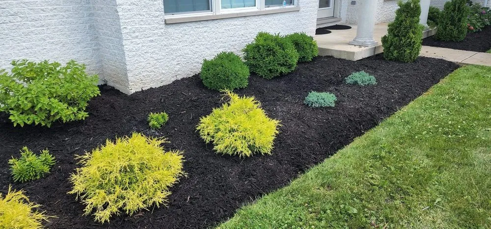 Local landscaping services in Horseheads, NY - Mascho Property Services Lawn & Landscape