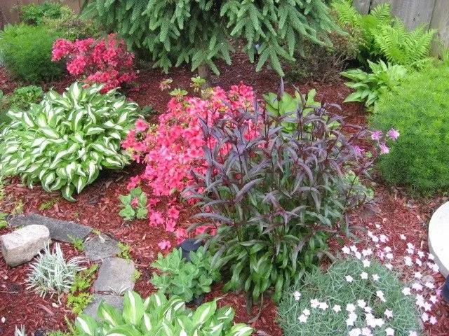 Affordable outdoor landscaping for year-round maintenance across Lorain, OH - Mascot Landscaping