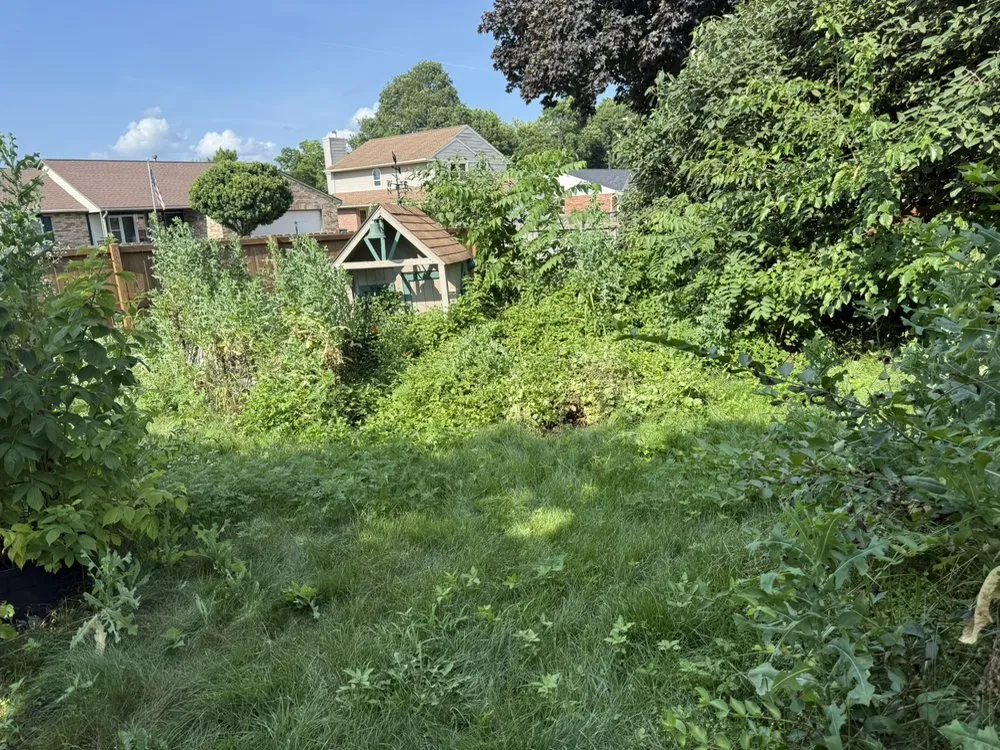 Expert yard maintenance in Medway, OH - Mash Works Enterprises