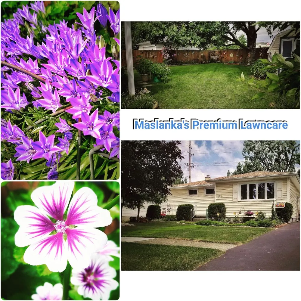 Professional yard cleanup service with custom design in West Seneca, NY by Maslanka's Premium Lawncare