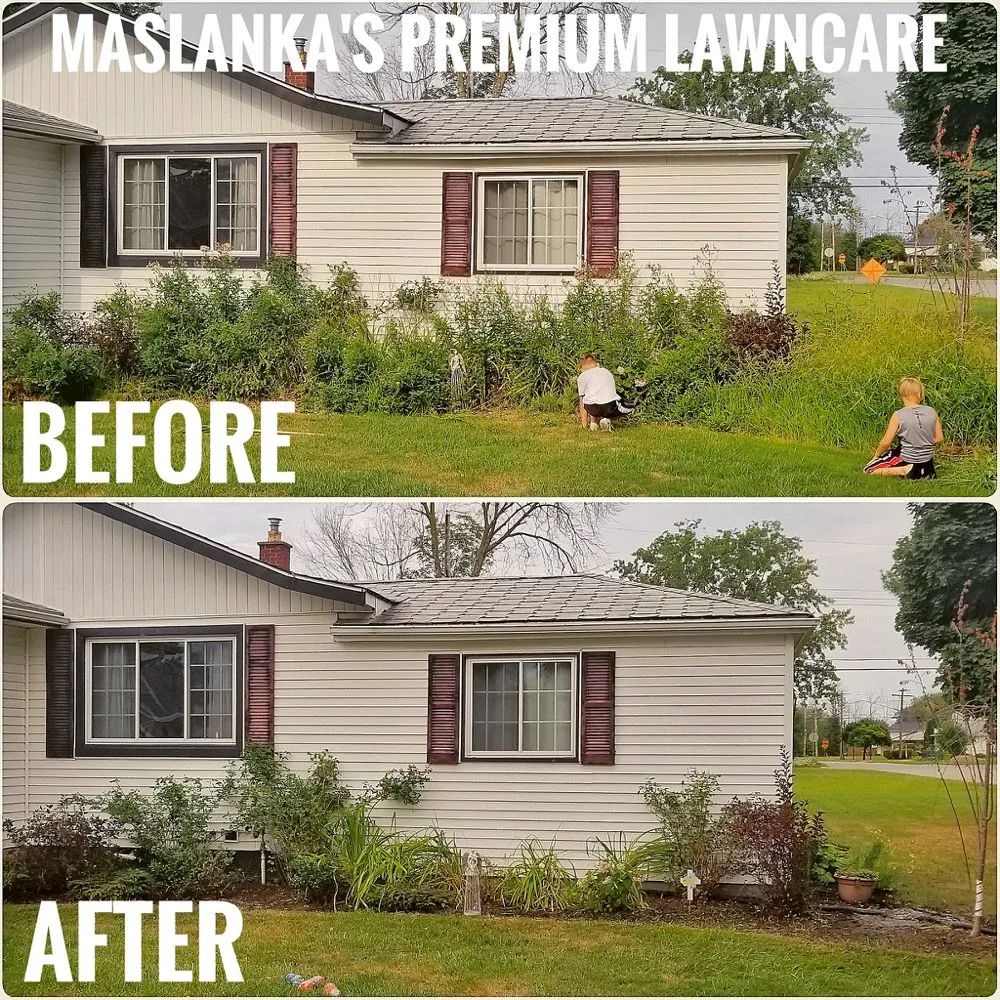 Custom yard cleanup service near you across West Seneca, NY - Maslanka's Premium Lawncare