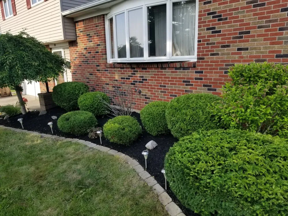 Top-rated landscape design experts serving West Seneca, NY - Maslanka's Premium Lawncare