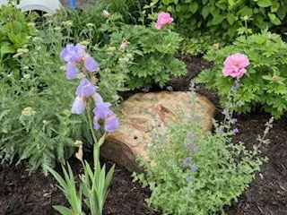 Expert landscaping services for year-round maintenance across Columbia Station, OH - Maslyk Landscaping