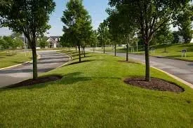 Affordable yard maintenance in Columbia Station, OH - Maslyk Landscaping