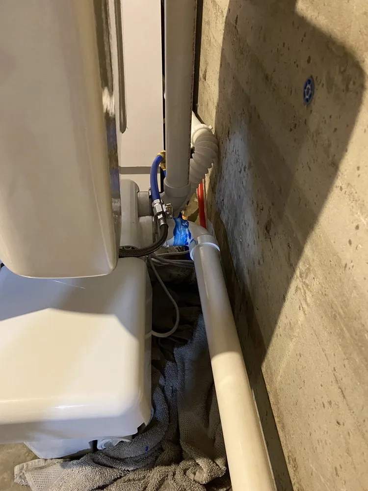 Expert garden landscaping in Frankfort, KY - Mason & Sons