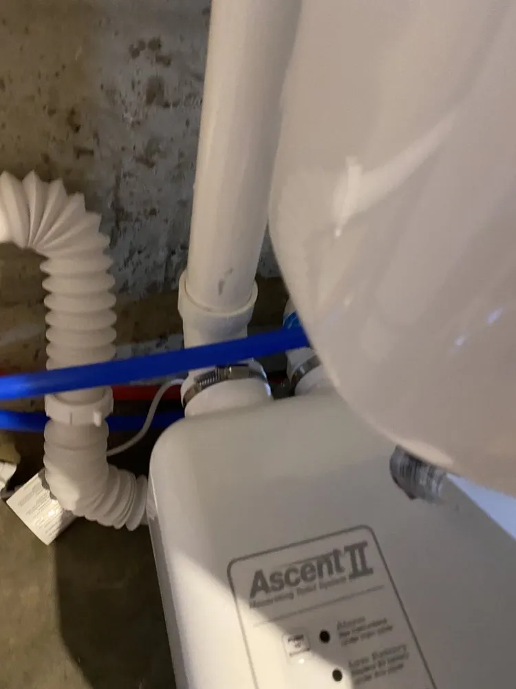 Trusted yard maintenance for outdoor upgrades in Frankfort, KY by Mason & Sons