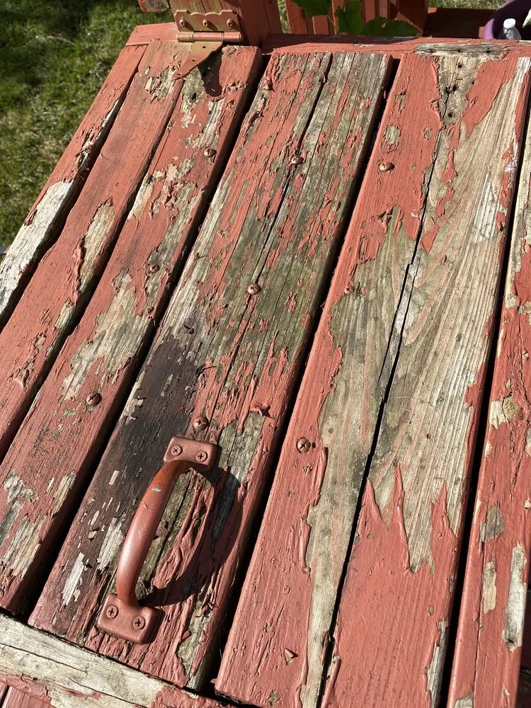 Professional landscape installation in Frankfort, KY by Mason & Sons