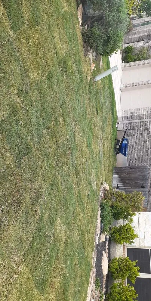 Custom outdoor landscaping in Jourdanton, TX by Mason