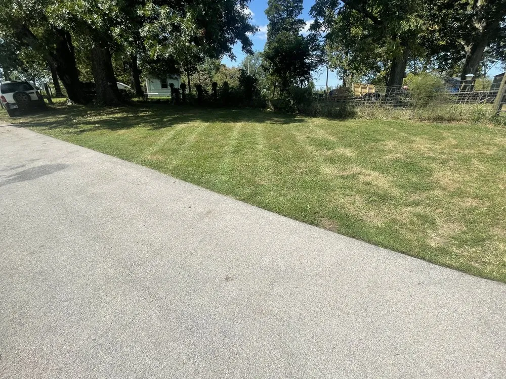 Expert yard cleanup service experts serving Winchester, KY - Mason Lawncare