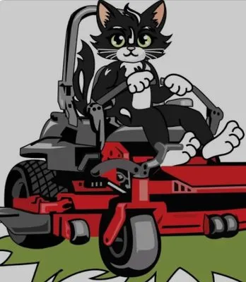 Mason Mowing and More Logo