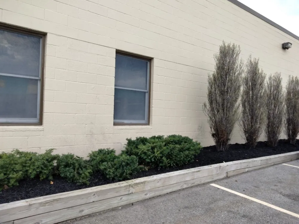 Reliable landscape design in Mason, MI - Mason Outdoor Works