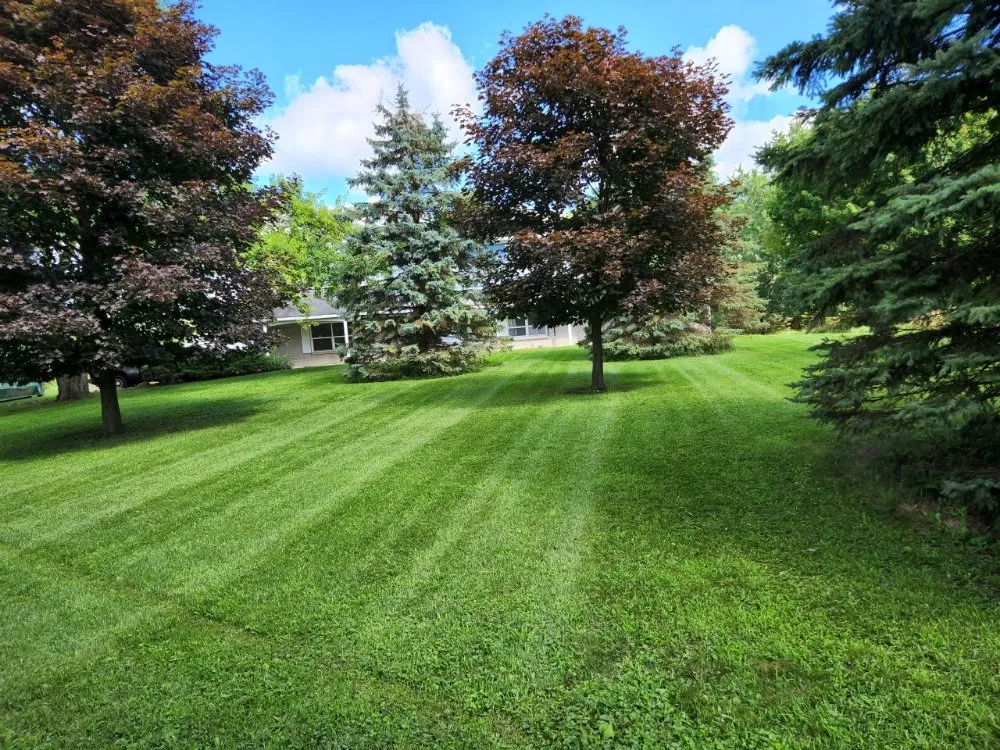 Top-rated garden landscaping in Mason, MI - Mason Outdoor Works