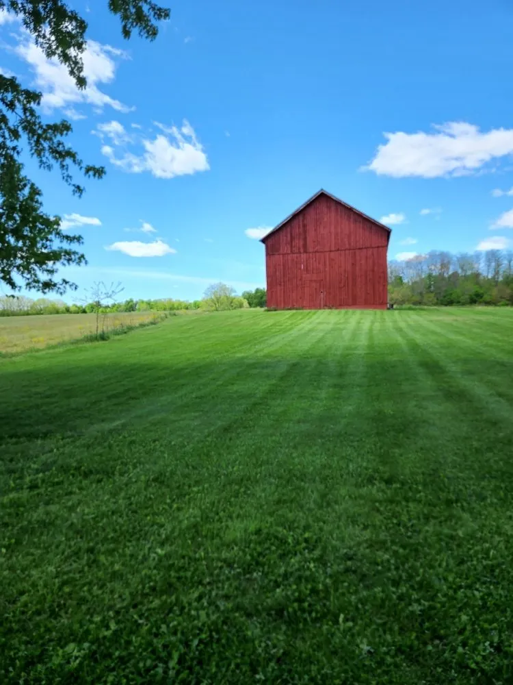 Trusted lawn care service in Mason, MI by Mason Outdoor Works