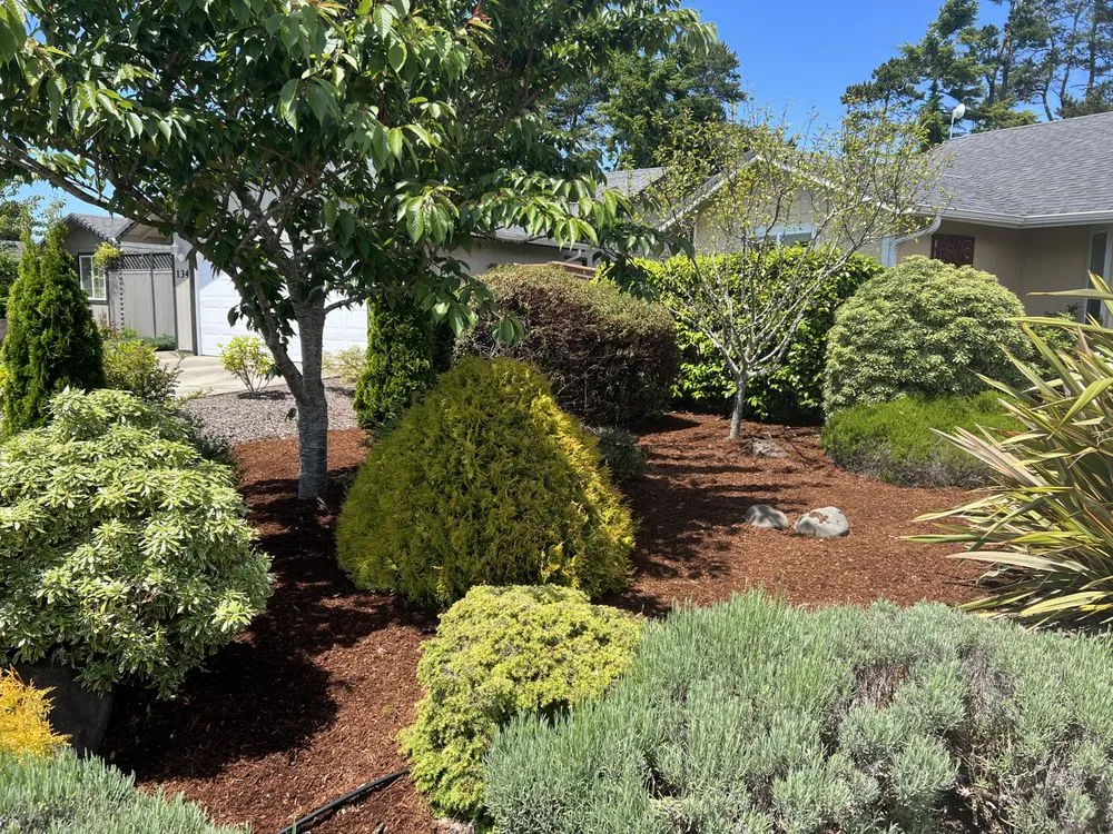 Expert landscaping services in Florence, OR by Mason Prociw Landscape