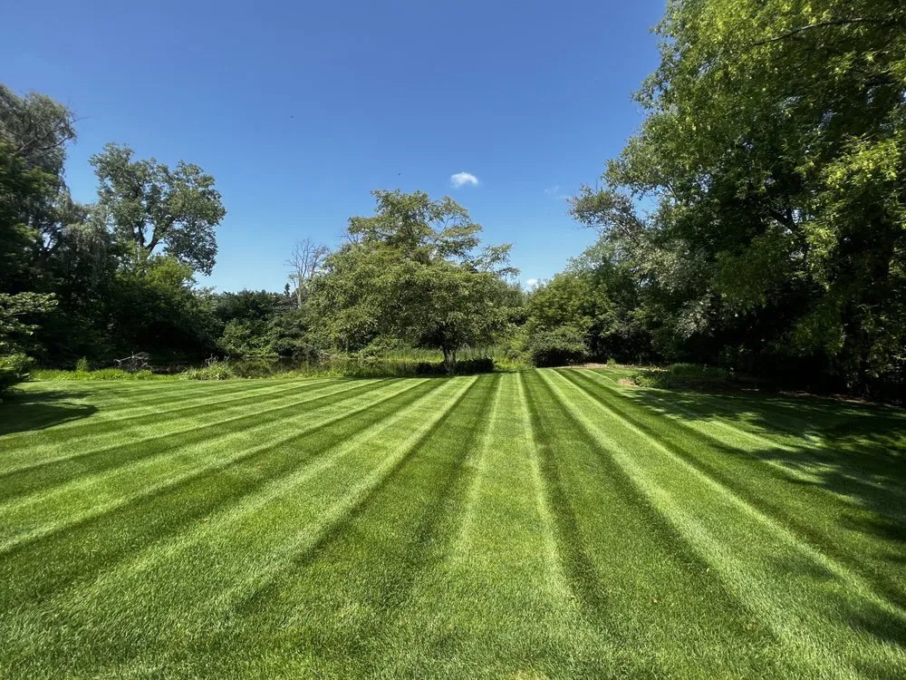 Top-rated yard cleanup service experts serving Northville, MI - Mason Property Management