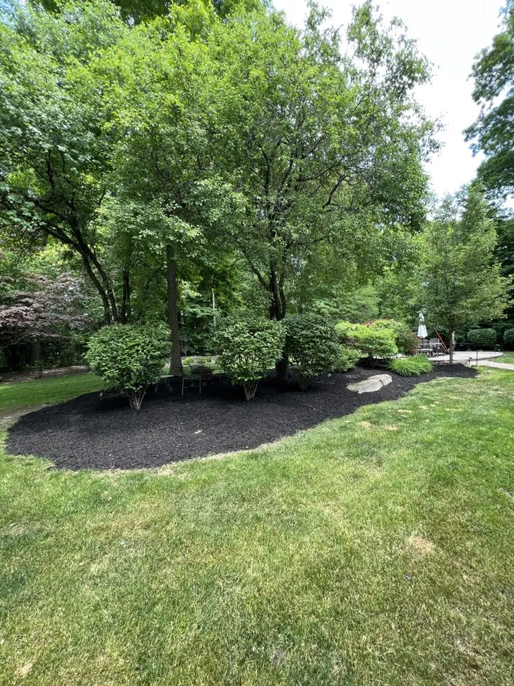 Top-rated yard maintenance experts serving Northville, MI - Mason Property Management