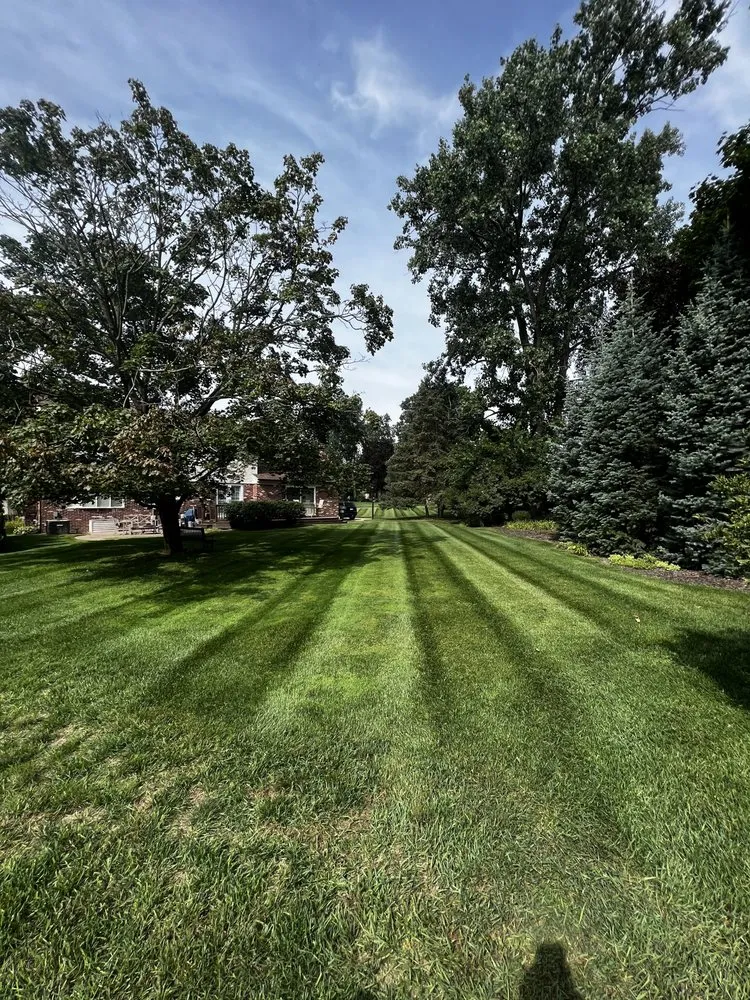 Professional yard cleanup service in Northville, MI by Mason Property Management