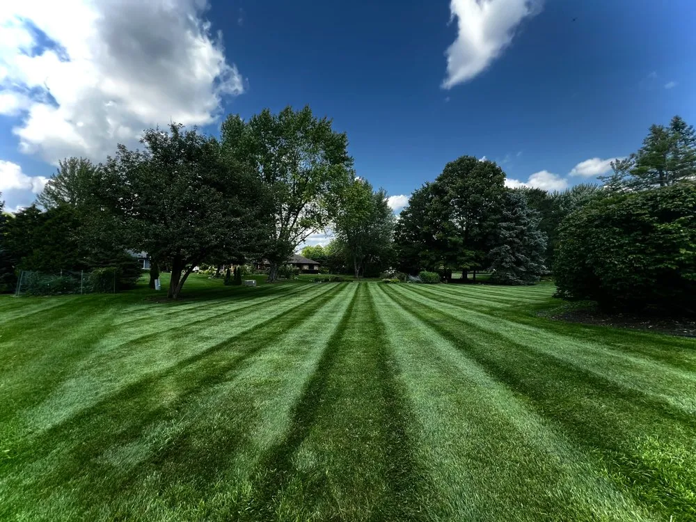 Affordable residential landscaping in Northville, MI - Mason Property Management