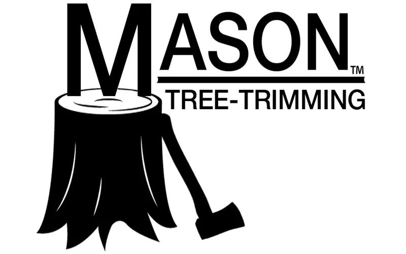 Local residential landscaping for residential properties in Sugar Land, TX by Mason Trees