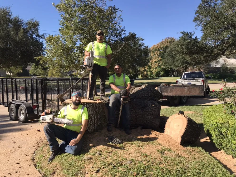 Local yard maintenance for homes across Sugar Land, TX - Mason Trees