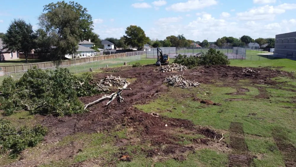 Local yard maintenance in Sugar Land, TX by Mason Trees