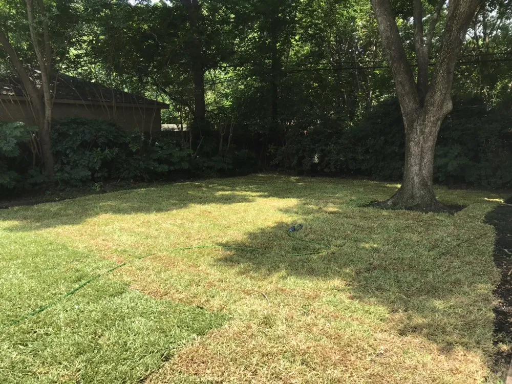 Top-rated residential landscaping for outdoor upgrades in Sugar Land, TX by Mason Trees