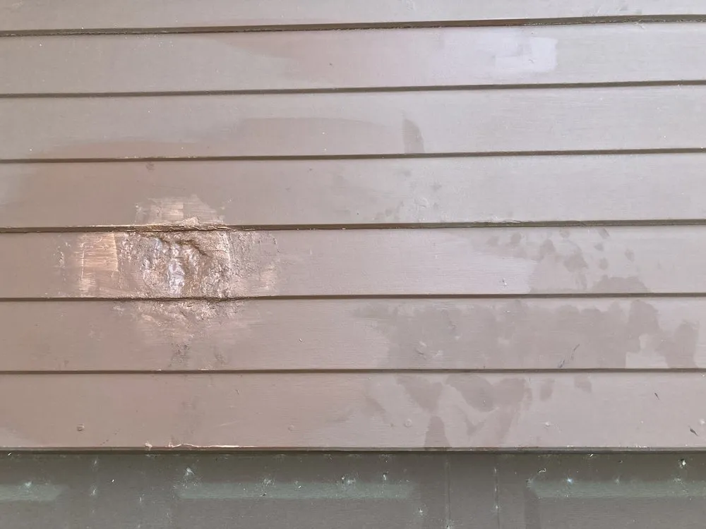 Reliable yard cleanup service for beautiful yards across Sugar Land, TX - Mason Trees