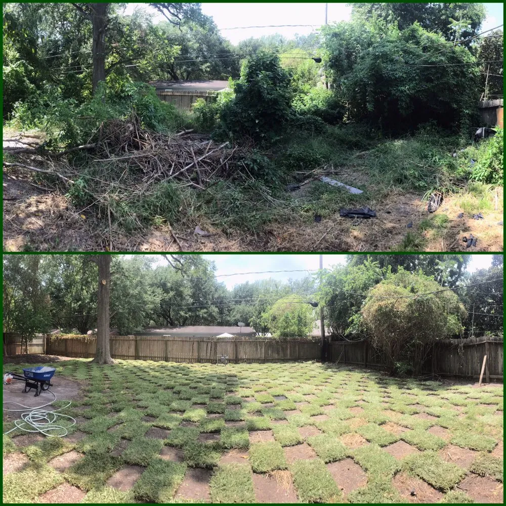 Professional residential landscaping in Sugar Land, TX by Mason Trees