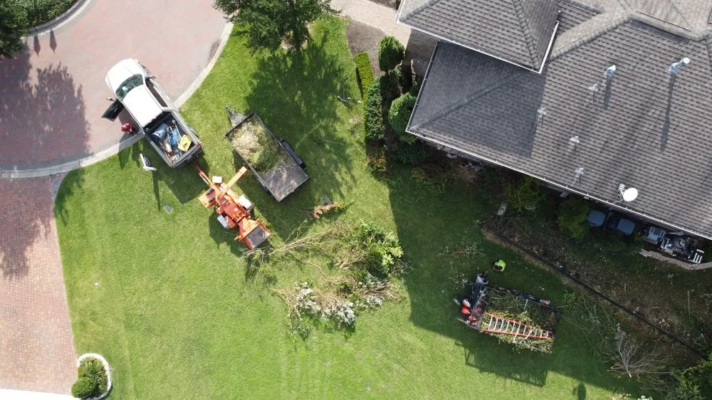Professional lawn care service in Sugar Land, TX by Mason Trees
