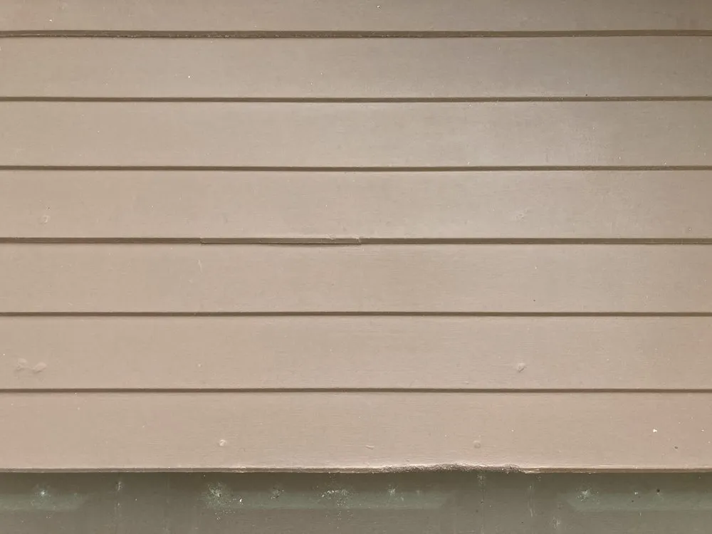 Trusted yard cleanup service experts serving Sugar Land, TX - Mason Trees