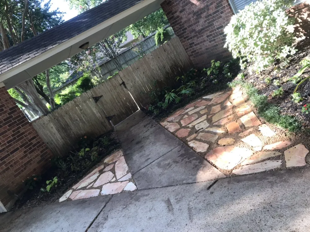Local yard cleanup service in Sugar Land, TX by Mason Trees