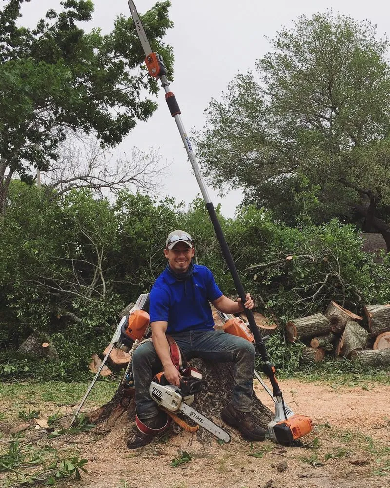 Expert landscaping services in Sugar Land, TX by Mason Trees