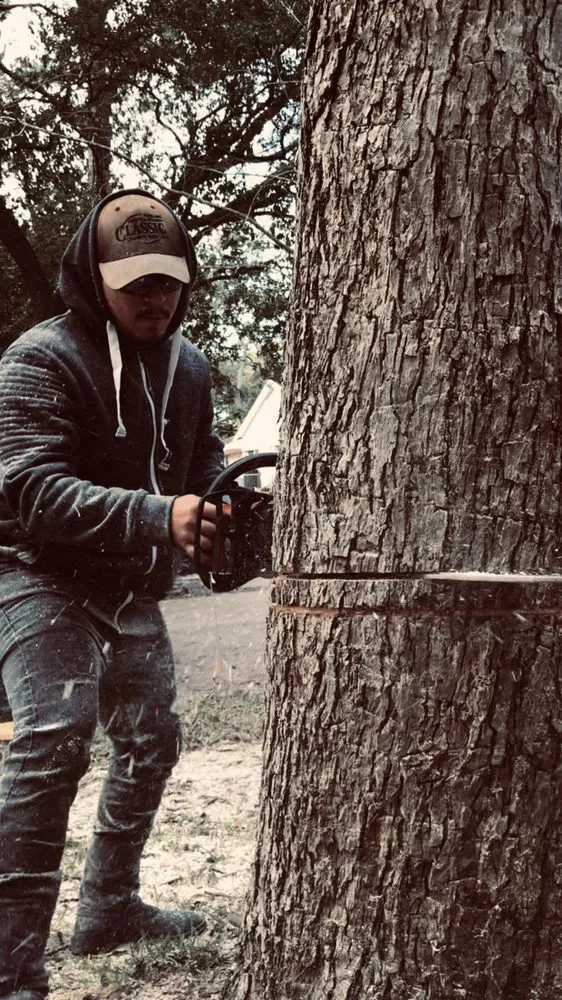 Professional landscape design for outdoor upgrades across Sugar Land, TX - Mason Trees