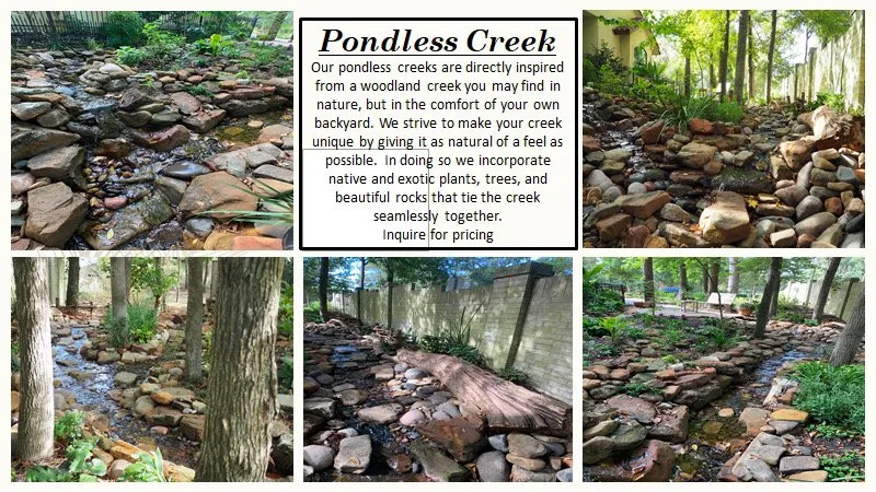 Professional landscaping services near you in Sugar Land, TX by Mason Trees