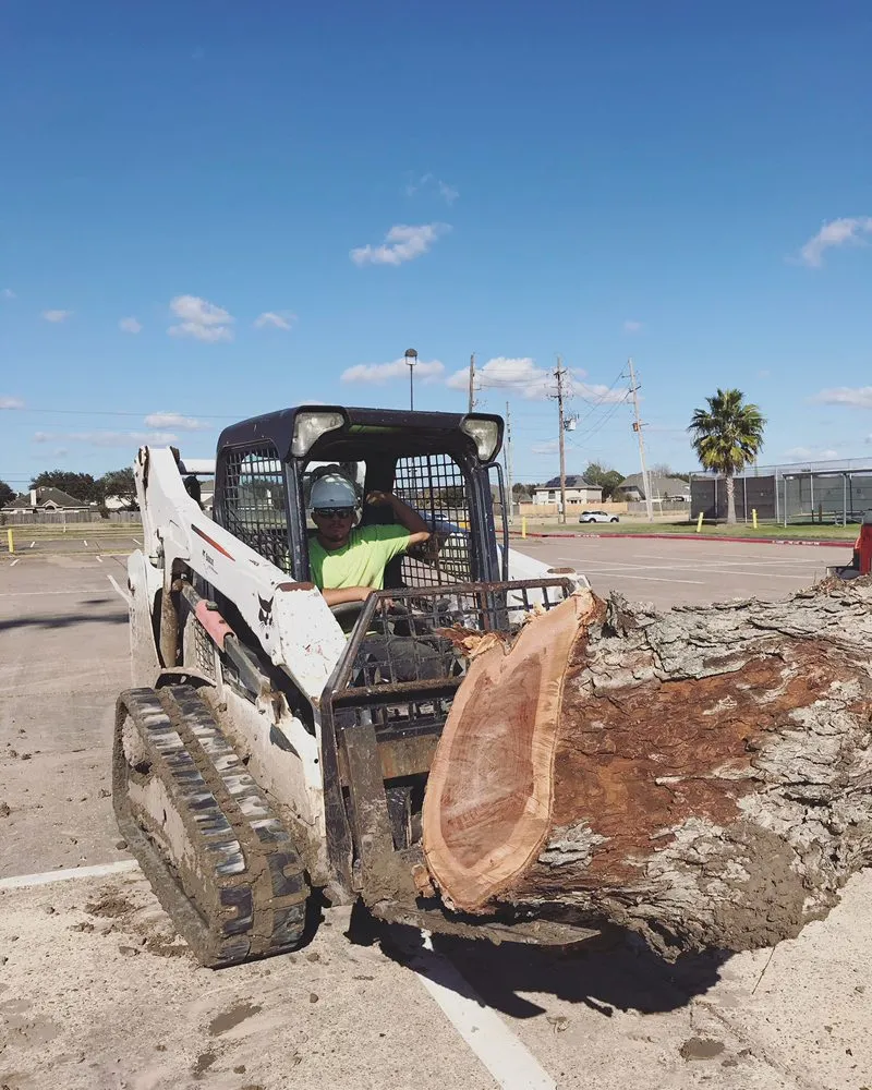 Trusted lawn mowing service experts serving Sugar Land, TX - Mason Trees