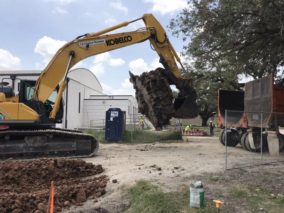 Professional outdoor landscaping with custom design across Sugar Land, TX - Mason Trees